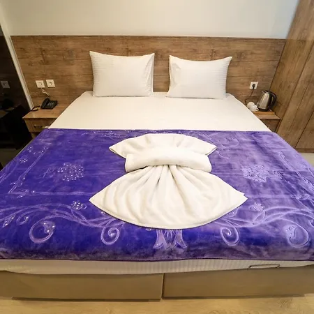 Zin Hotel 3*